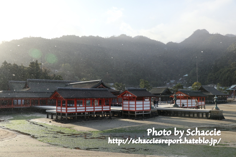 f:id:schaccie:20190107163436j:plain f:id:schaccie:20190107163436j:plain