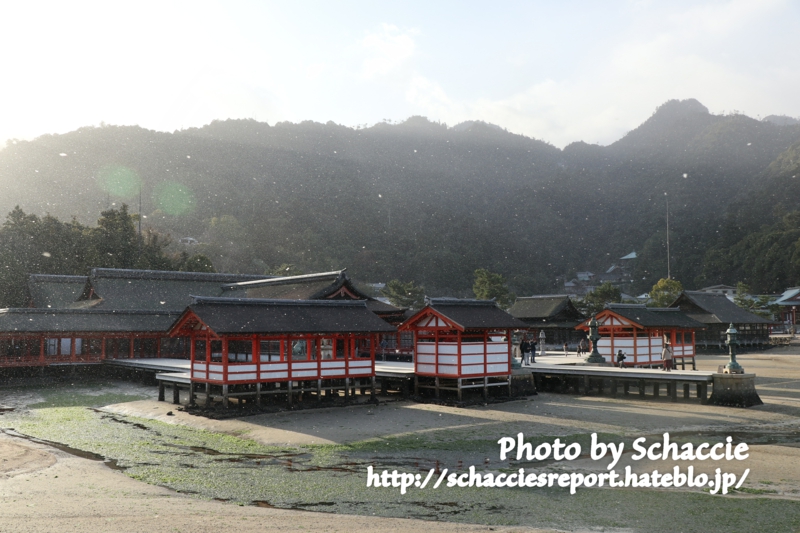 厳島神社-境内-2