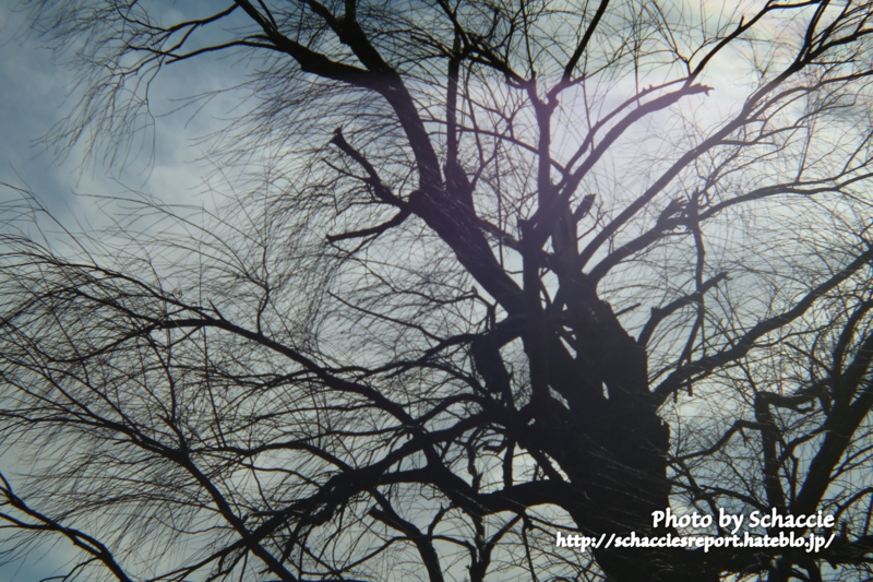 Holga-lens-HL-C-作例6 Holga-lens-HL-C-作例6