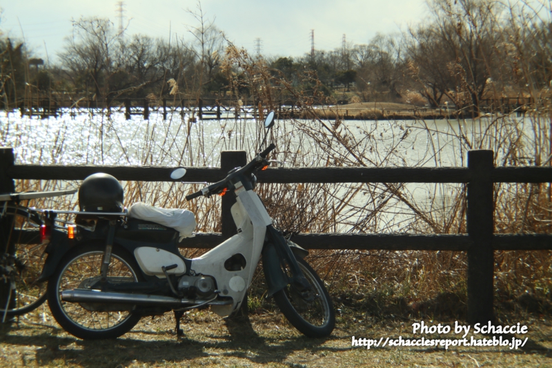 Holga-lens-HL-C-作例11