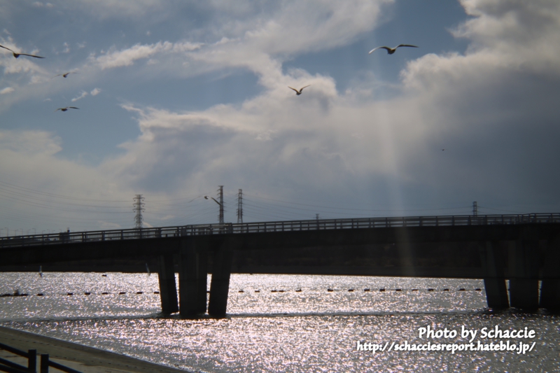 Holga-lens-HL-C-作例12