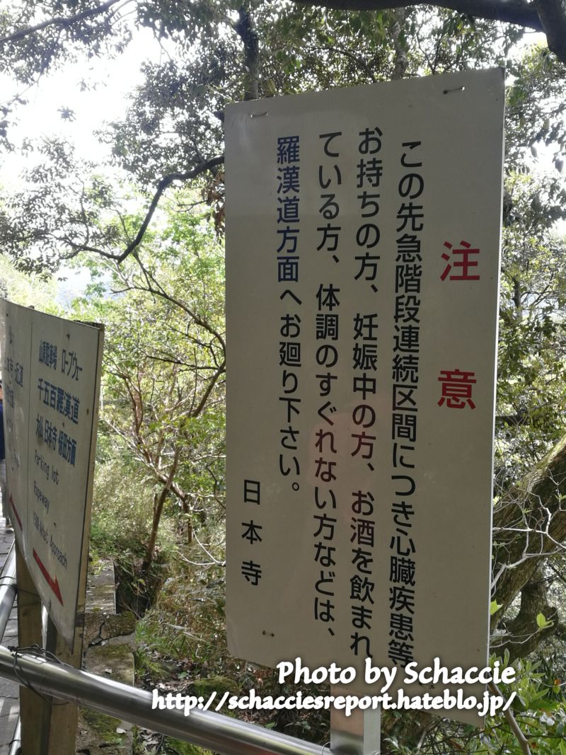 鋸山-登山道2