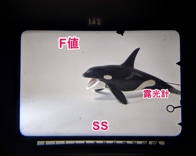 minolta-SRT-Super-viewfinder