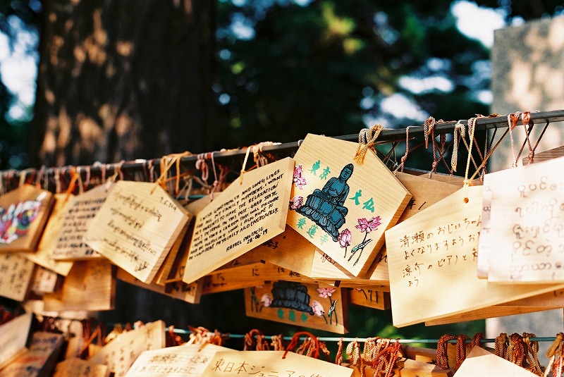 filmphoto-sample7 filmphoto-sample7