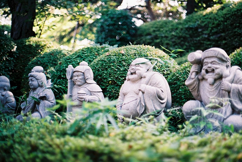 filmphoto-sample8