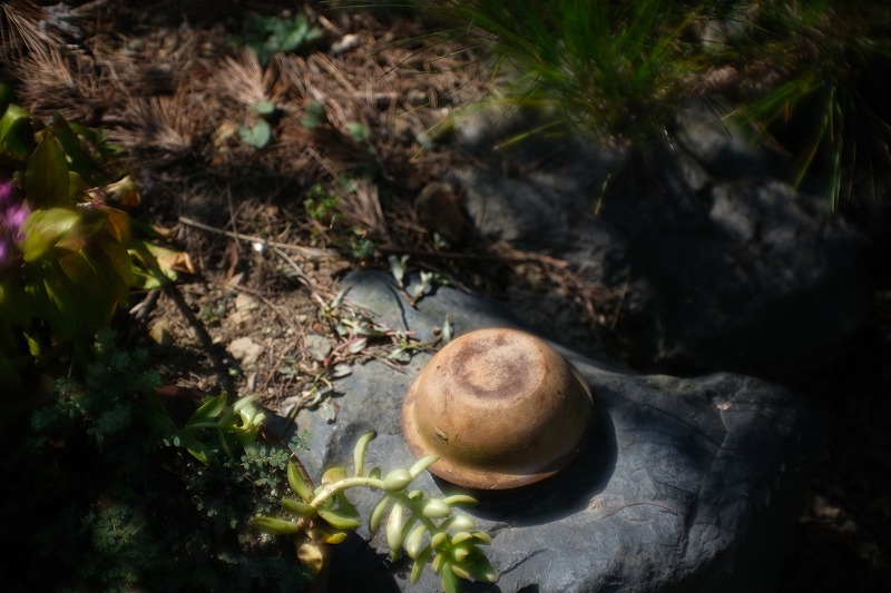 MC-Rokkor-PG-sample3