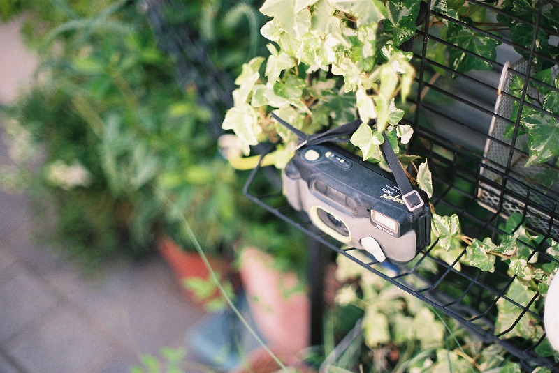 filmphoto-sample10 filmphoto-sample10