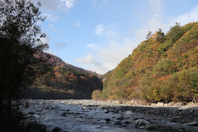 f:id:schaccie:20191110142457j:plain