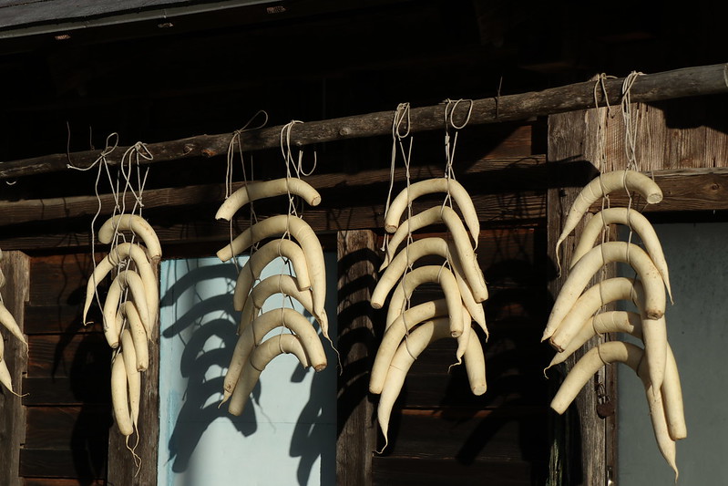 f:id:schaccie:20191110142729j:plain