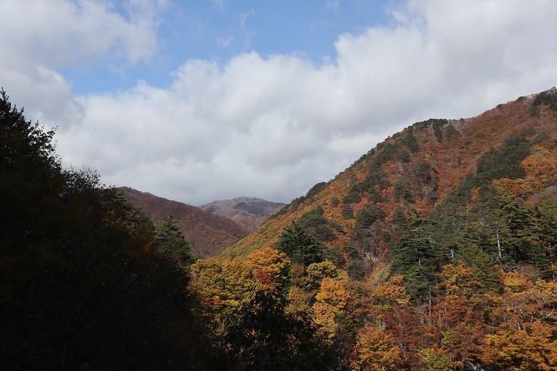 f:id:schaccie:20191110143237j:plain