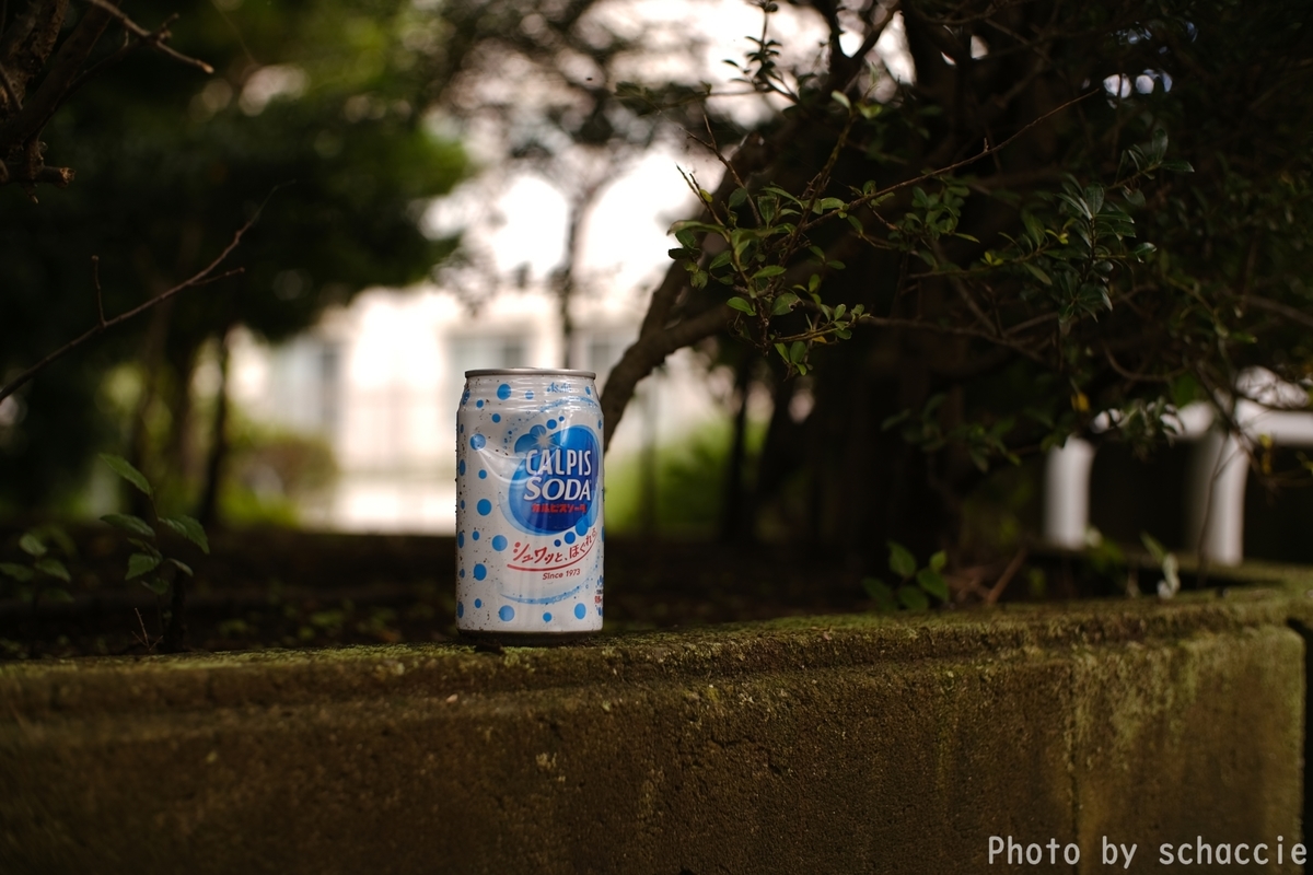 作例多め】「Super Takumar 50mm F1.4」の黄色いレンズで黄色い写真を