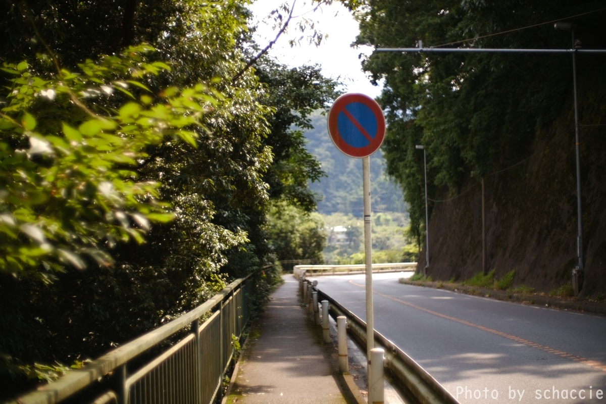 Super Takumar 50mm F1.4 作例 相模湖 f:id:schaccie:20200823145456j:plain
