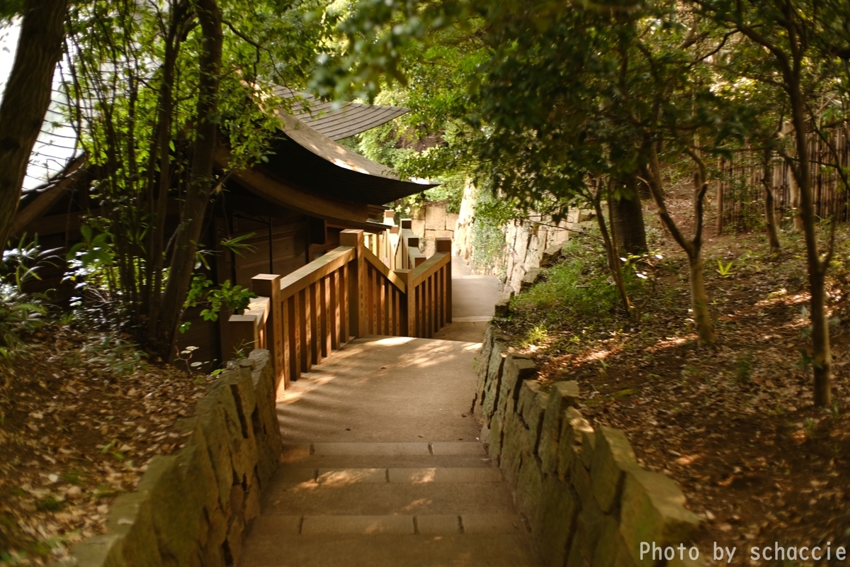 Super Takumar 50mm F1.4 作例 深大寺 f:id:schaccie:20200823150505j:plain