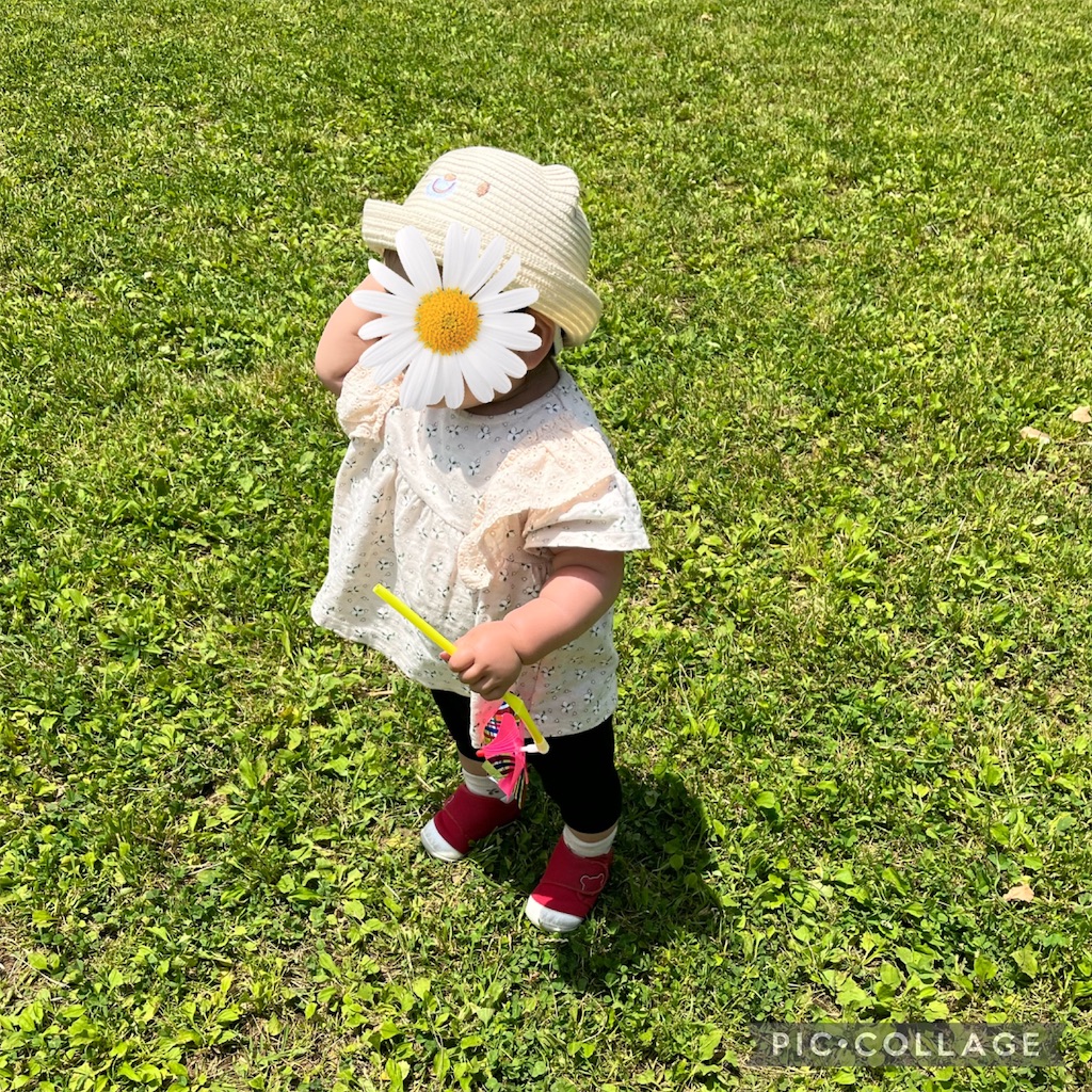 f:id:schan0617:20230604231820j:image f:id:schan0617:20230604231820j:image