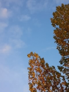 f:id:schazzie:20141121155618j:image