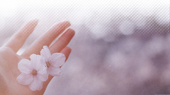 f:id:schazzie:20150330132326j:image