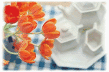 f:id:schazzie:20150526054100g:image