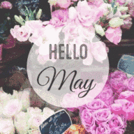 f:id:schazzie:20150531225544g:image