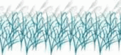 f:id:schazzie:20151027225709g:image