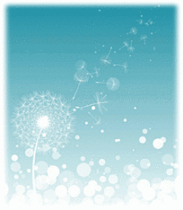 f:id:schazzie:20160429061800g:image