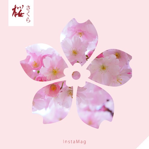 f:id:schazzie:20180323212950:image f:id:schazzie:20180323212950:image