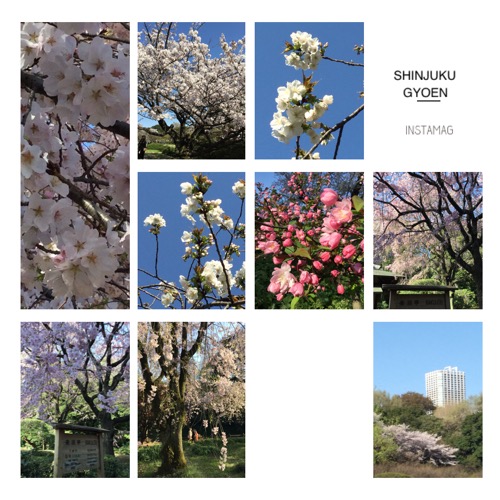 f:id:schazzie:20180403234222:image