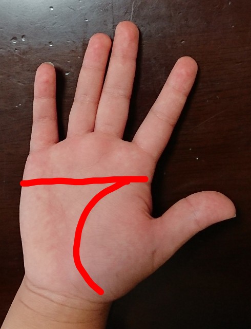 palm-reading.hand