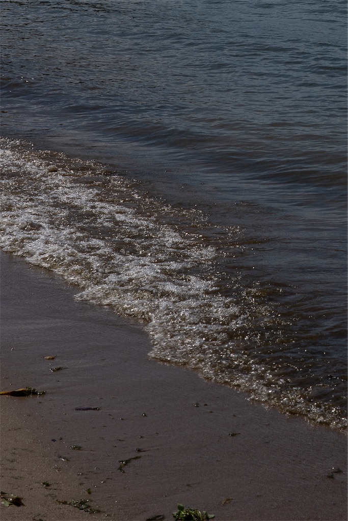 f:id:schhms:20200709161312j:image f:id:schhms:20200709161312j:image