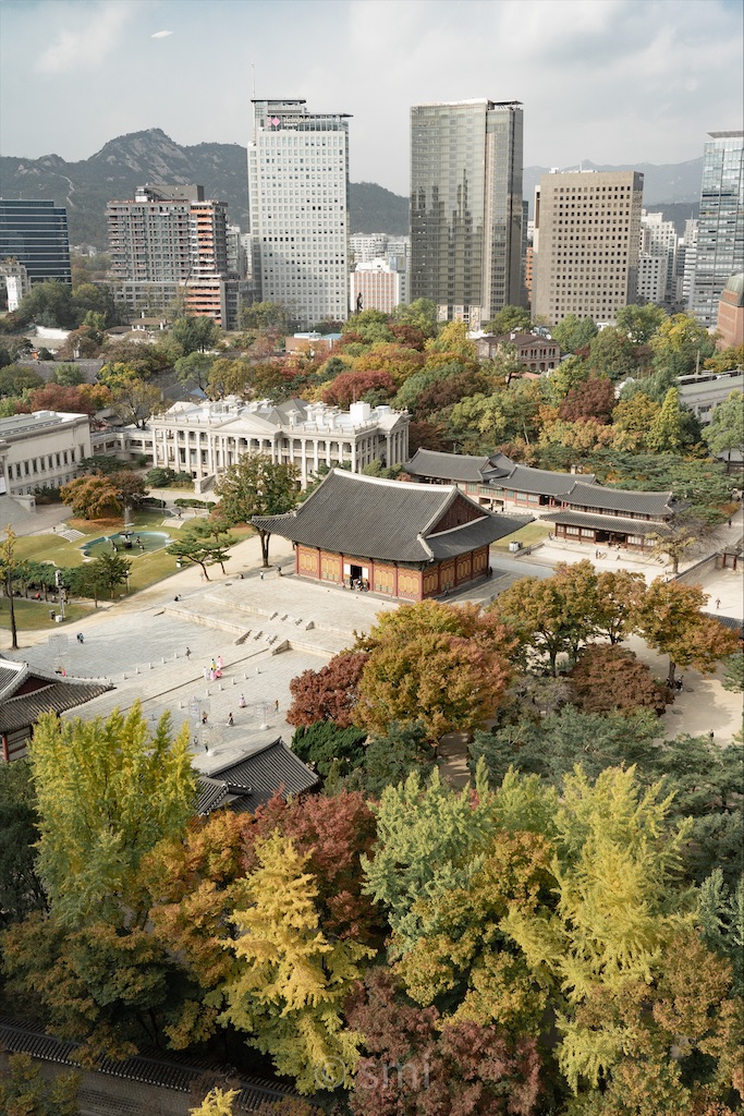 f:id:schhms:20200812210613j:image f:id:schhms:20200812210613j:image