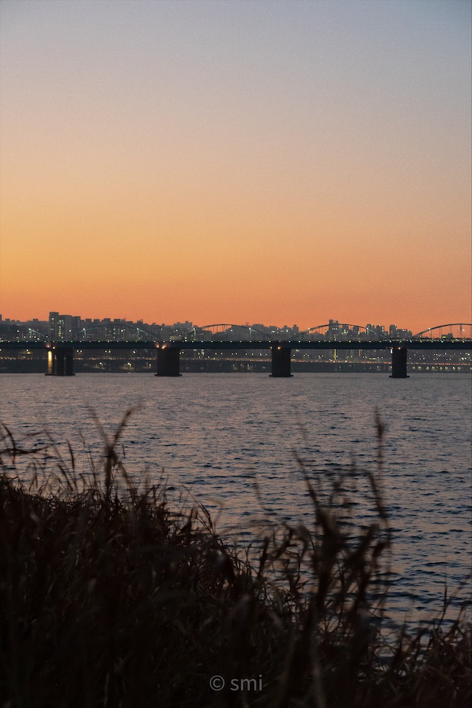 f:id:schhms:20200812210726j:image f:id:schhms:20200812210726j:image