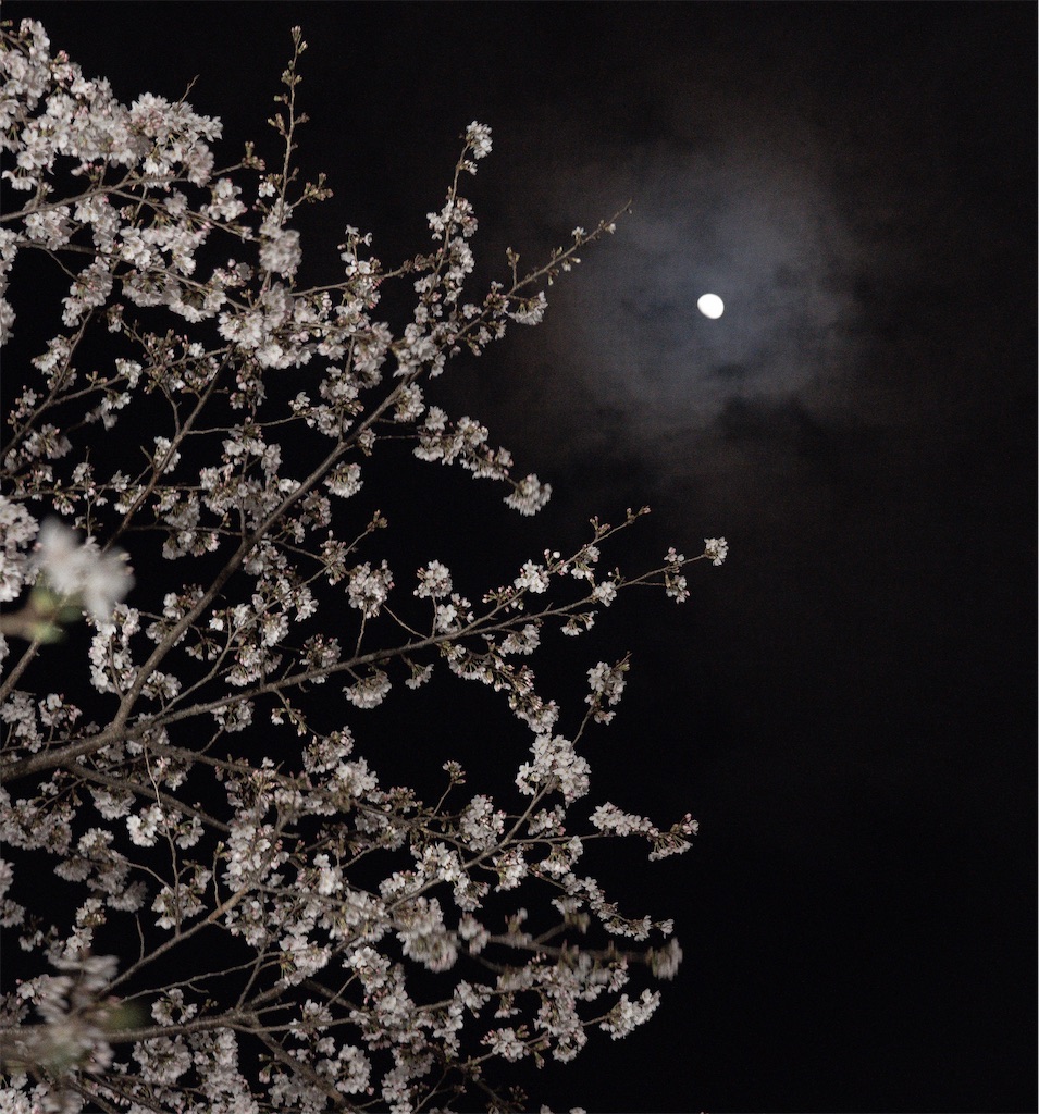 f:id:schhms:20200906125305j:image