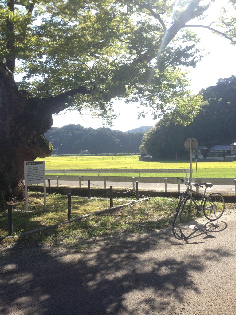 f:id:schilf:20160901122012j:image f:id:schilf:20160901122012j:image