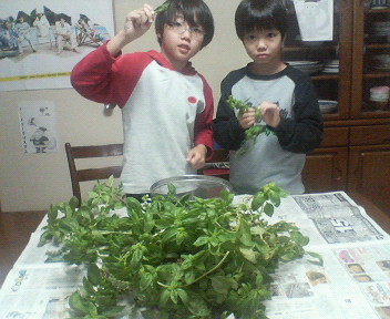 f:id:schizophrenic:20051204134152j:image:w100