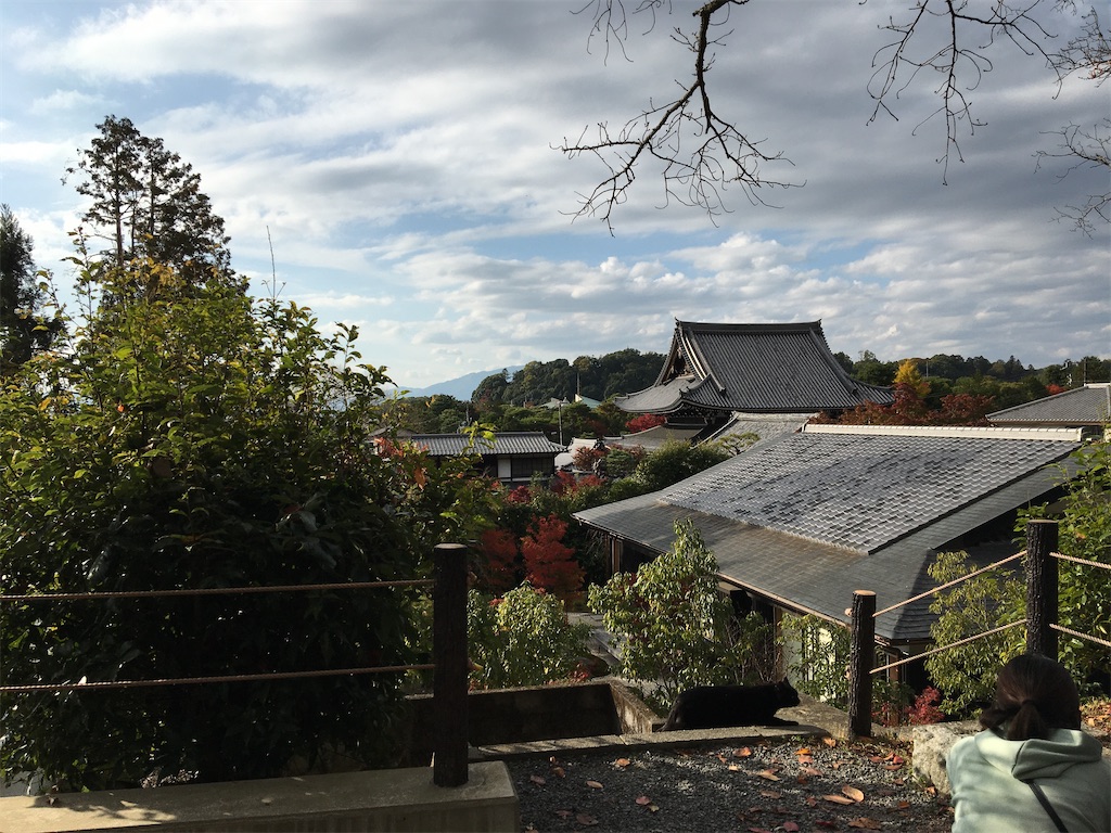 f:id:schneelandschaft:20201122045410j:image