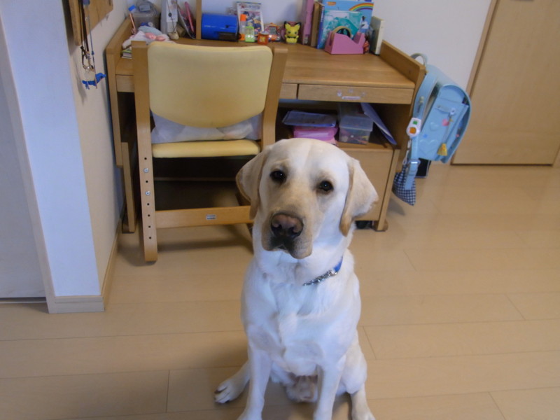 f:id:schoolthousand:20111203132046j:image:w360
