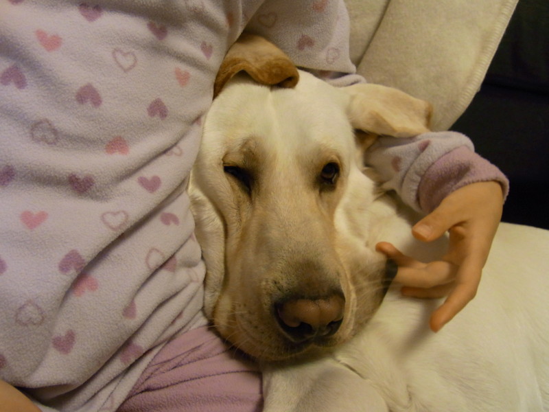 f:id:schoolthousand:20111203214130j:image:w360