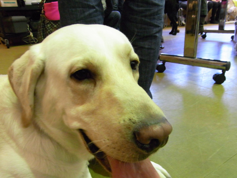 f:id:schoolthousand:20111204132803j:image:w360