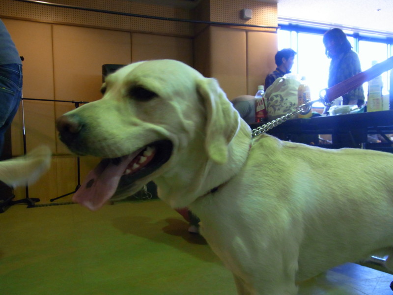 f:id:schoolthousand:20111204132930j:image:w360
