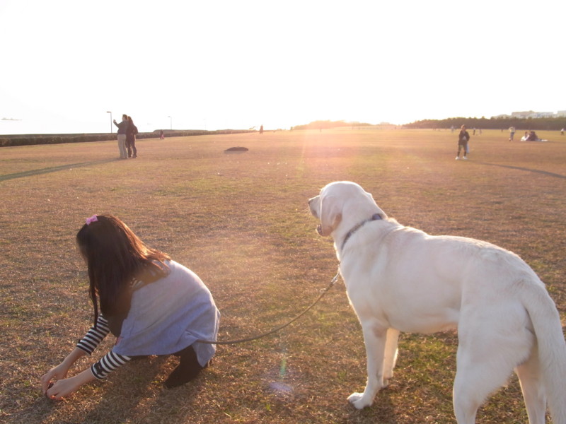 f:id:schoolthousand:20111218160648j:image:w360