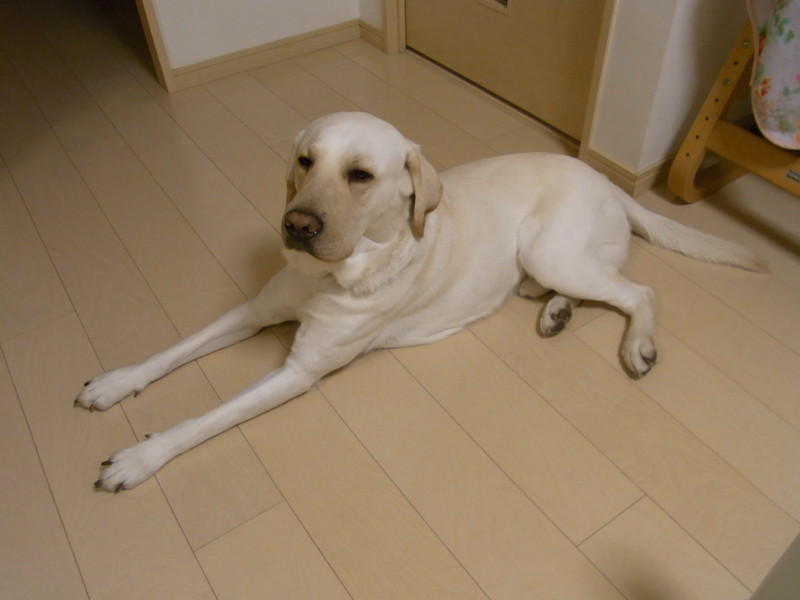 f:id:schoolthousand:20120109204702j:image:w360