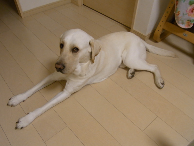 f:id:schoolthousand:20120109204708j:image:w360