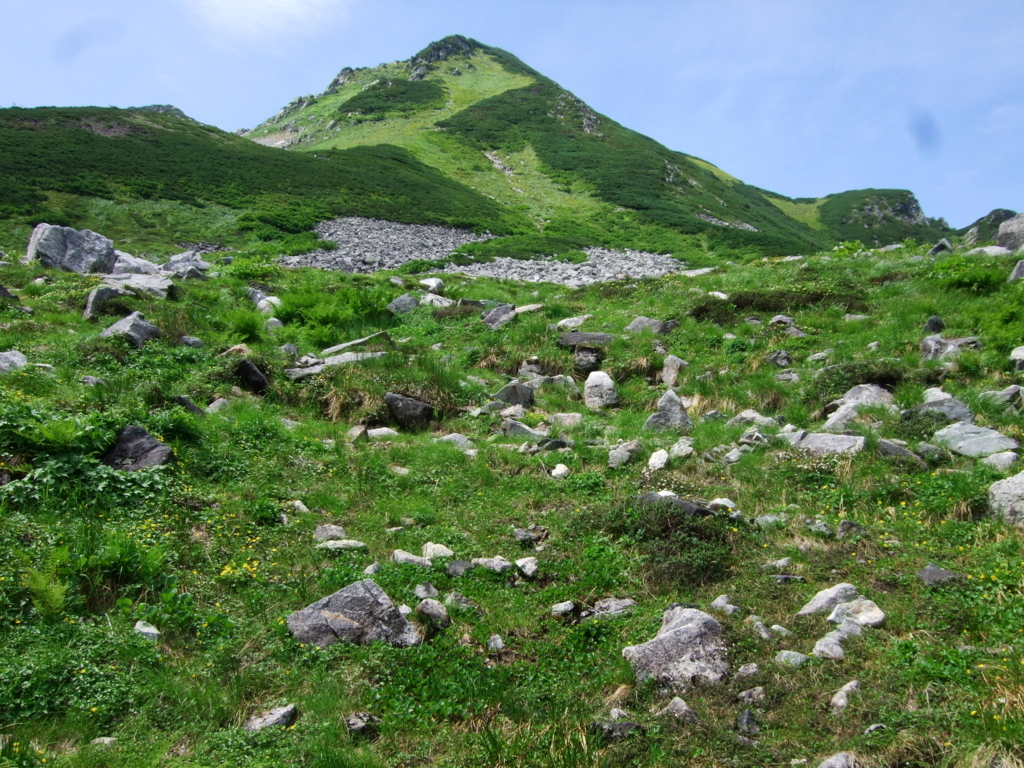 f:id:schuhei:20170831004611j:plain