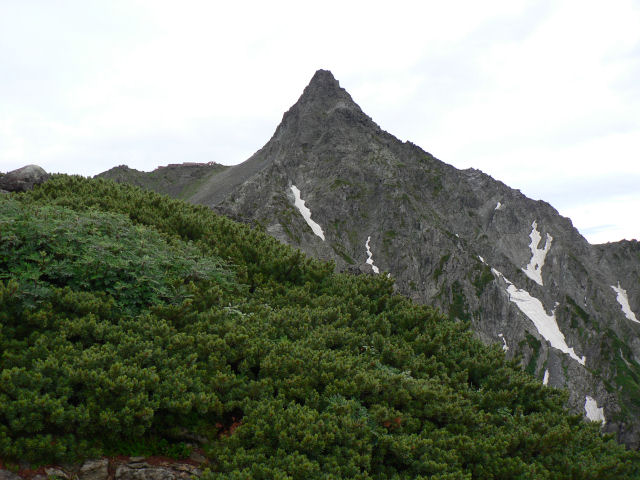 f:id:schunchi2007:20190721071932j:plain