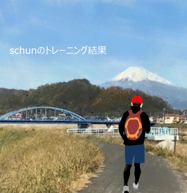 f:id:schunchi2007:20200331042752j:plain
