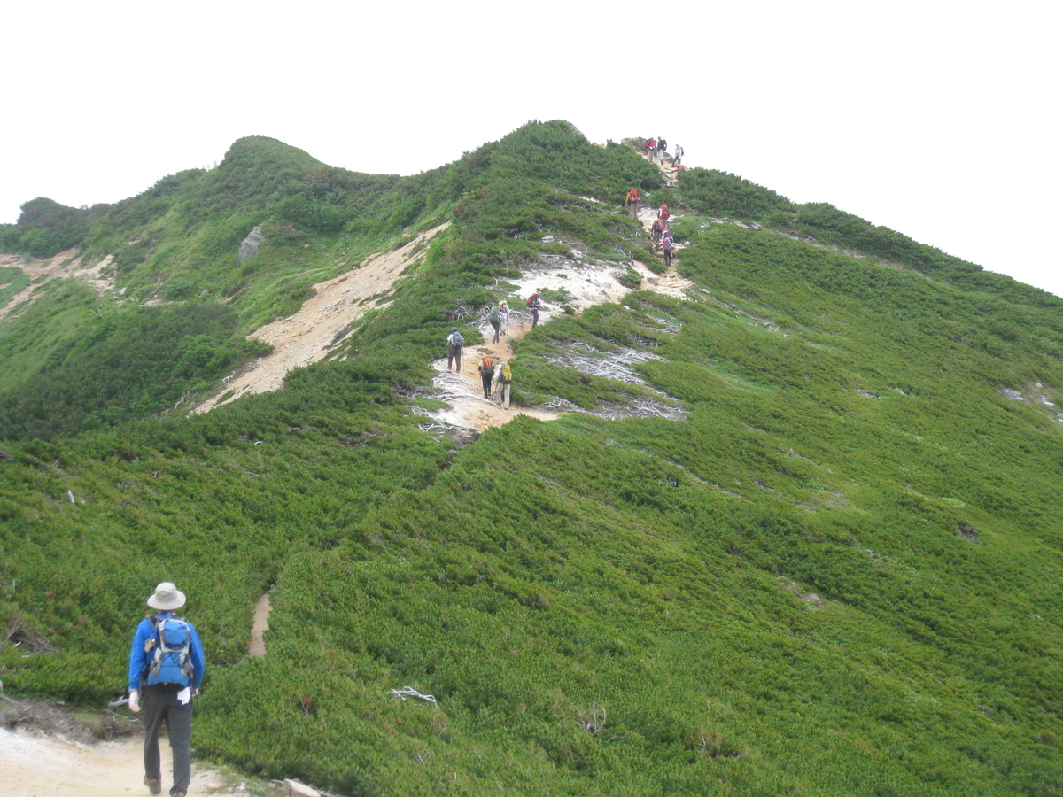 f:id:schunchi2007:20200503050318j:plain