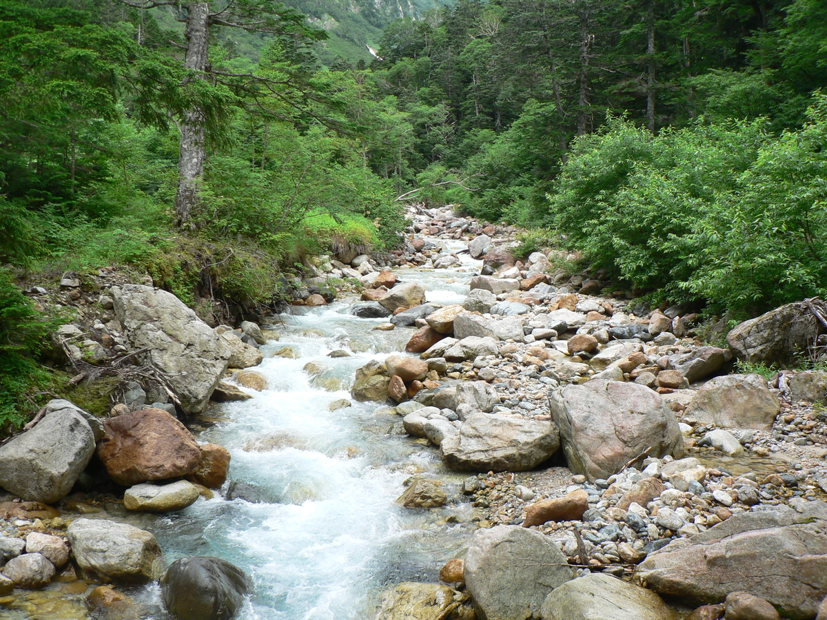 f:id:schunchi2007:20200503053721j:plain