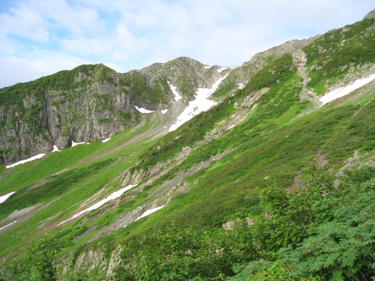 f:id:schunchi2007:20200503054115j:plain