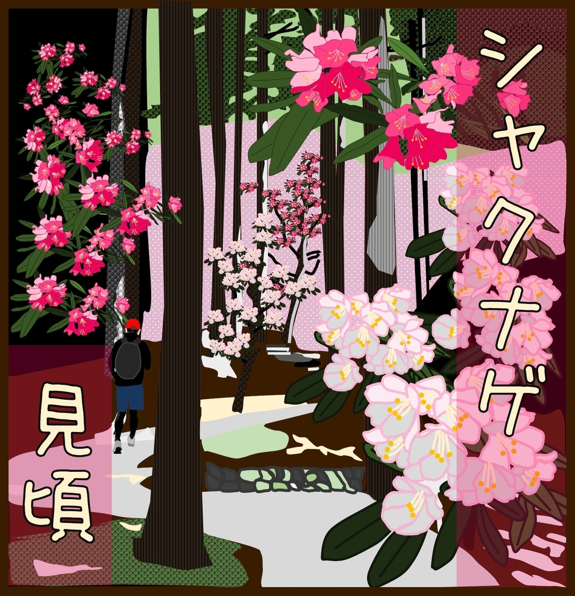 シャクナゲが見ごろ 天城グリーンガーデン Schunの日常