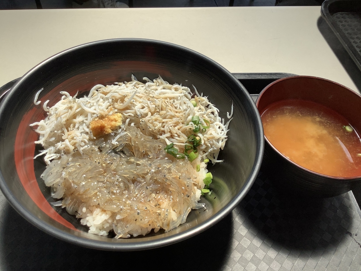 f:id:schunchi2007:20210415050827j:plain