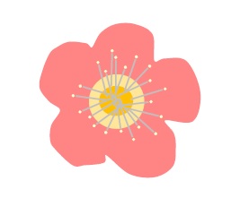 f:id:schunchi2007:20220227202023j:plain